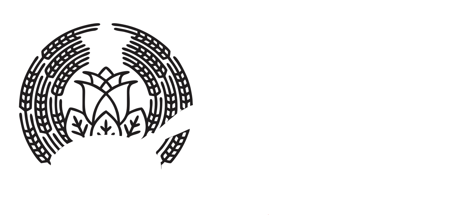 Charleston DSA